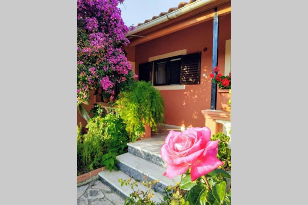 Rose Garden Villa Melikia Luaran gambar